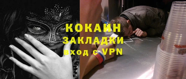 шишки Баксан