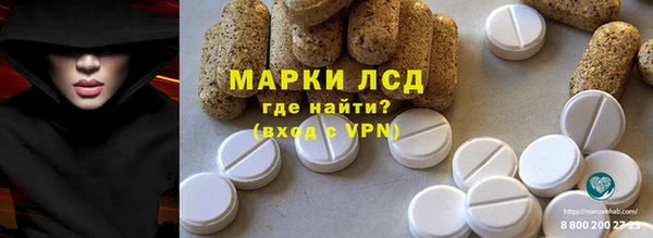 шишки Баксан