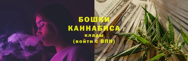 шишки Баксан