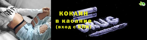шишки Баксан