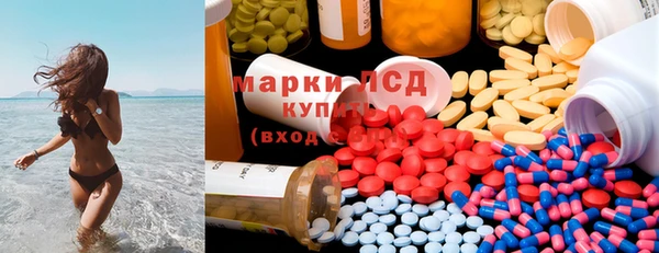 шишки Баксан