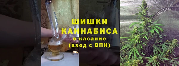 шишки Баксан